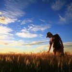 2816415780 23d0fed001 150x150 VITAL SURVIVAL LINK: A time bomb for world wheat crop