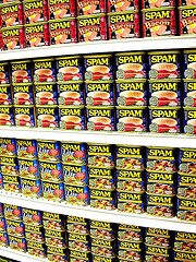 spam INSTANT SURVIVAL TIP:  Beans, Spam and Corn, Oh My!