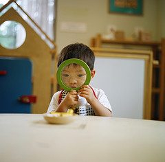 3712060635_8fdd61a65c_m They see everything.