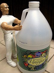 2853361059_284f74daa2_m 2853361059 284f74daa2 m1 INSTANT SURVIVAL TIP: Kinder, Gentler Cleaning Products