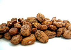 pinto beans pinto beans
