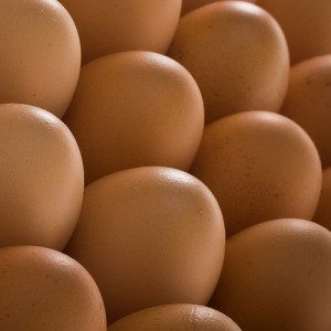 eggs 300x300 Warning!  Your Food Storage is Incomplete Without These 5 Fresh Foods!