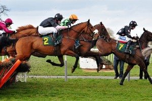horse race It's LizLong, by a nose. image by Paolo Camera