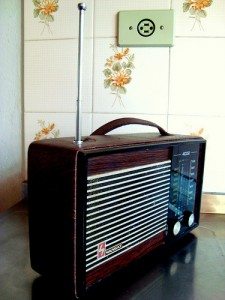 radio 225x300 Listen in!  TheSurvivalMom gets some air time!