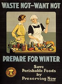 200px-Waste_not_want_not_WWI_poster 200px Waste not want not WWI poster The 6 Enemies of Food Storage