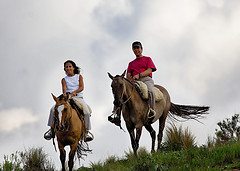 horseback riding horseback riding SurvivalMoms Quote of the Day & a Survival Survey