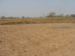 dry fields dry fields A Famine Menu