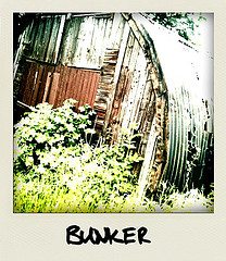 Bunker bunker 10 Morale Boosters for Any Worst Case Scenario