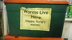 worms compost worms compost Compost Now, Fabulous Garden Later!