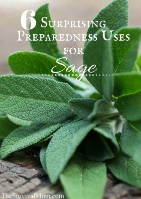 uses for sage