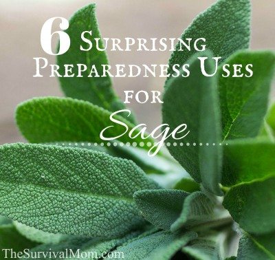 uses for sage