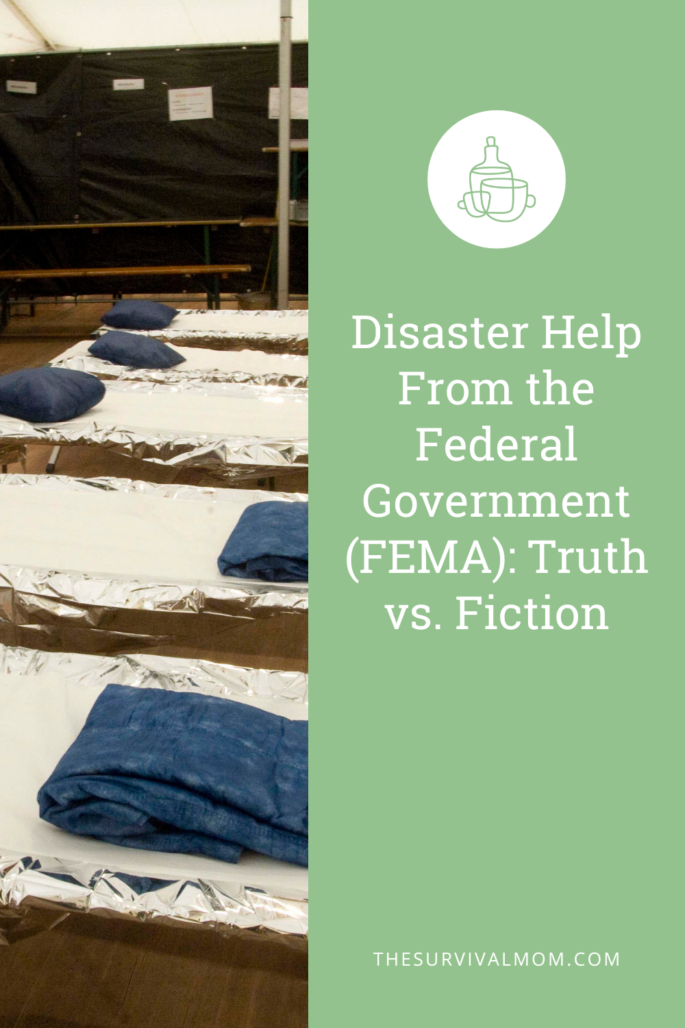 Disaster Help From the Federal Government (FEMA): Truth vs. Fiction ...