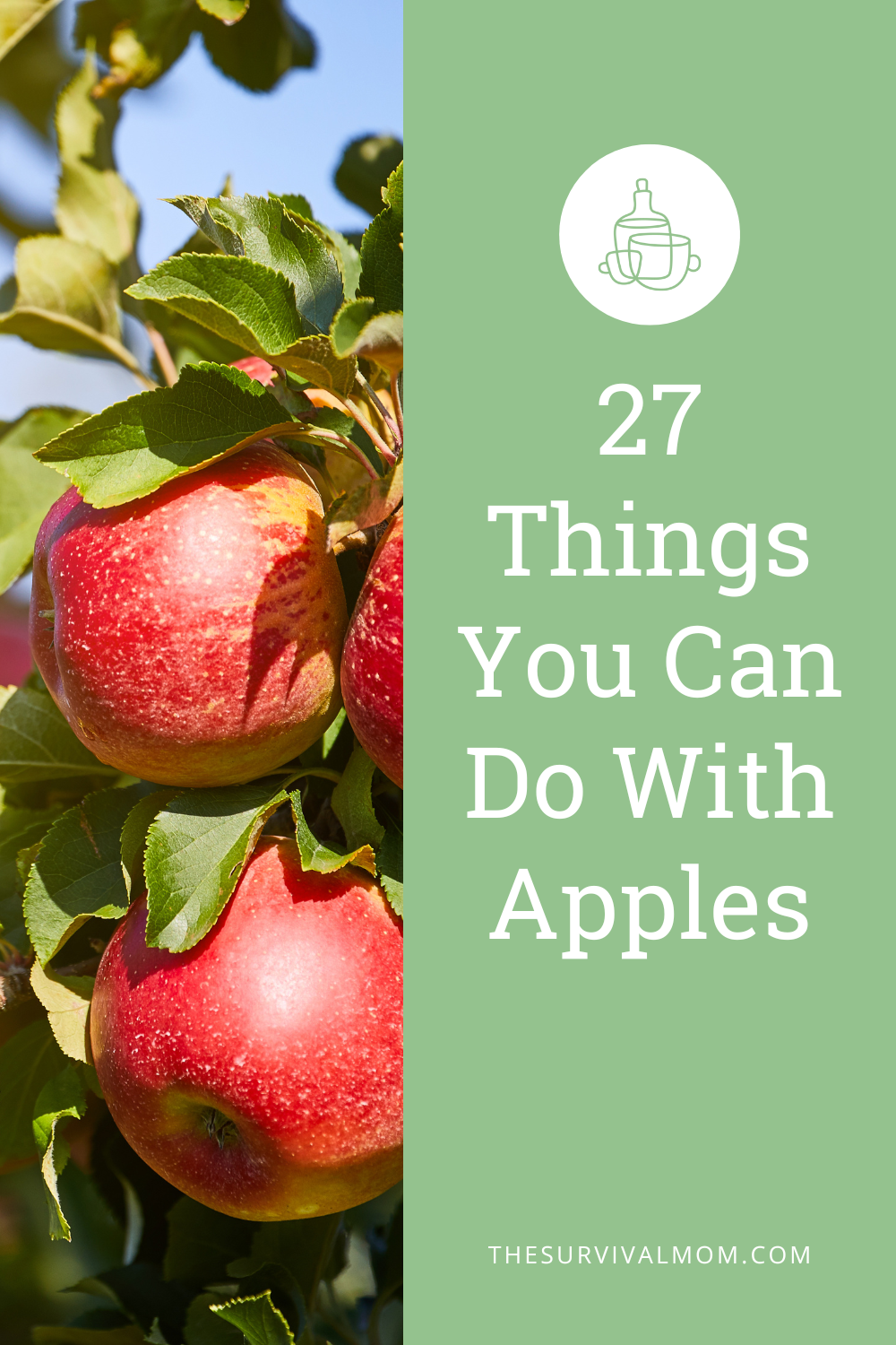 Things That Include Apple 27 Things You Can Do With Apples - The Survival Mom