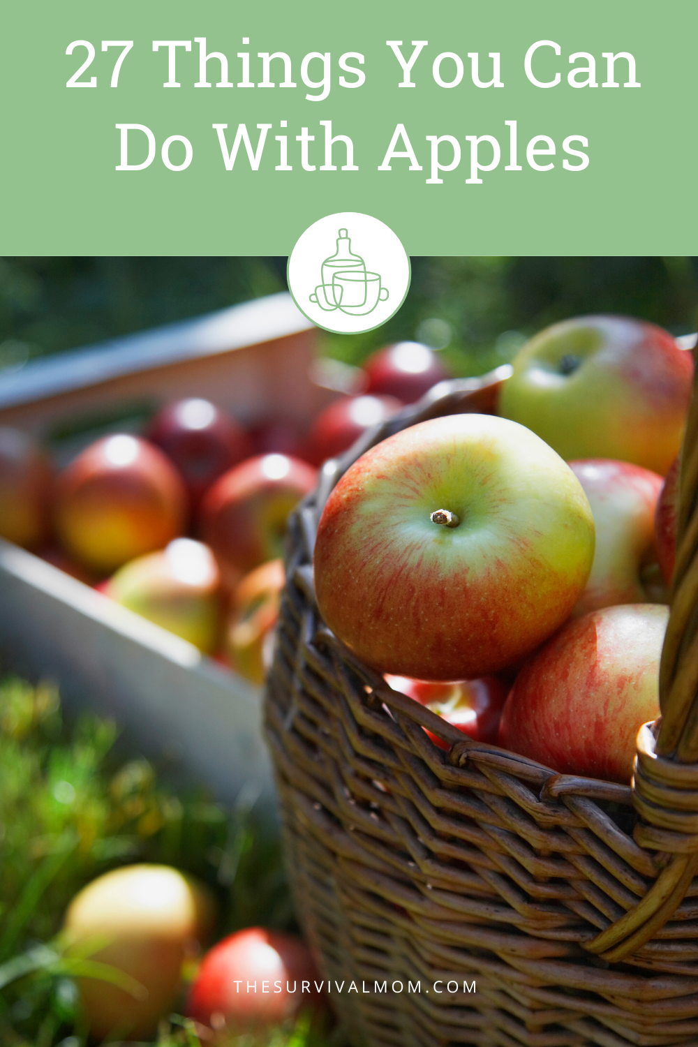 Things That Include Apple 27 Things You Can Do With Apples - The Survival Mom