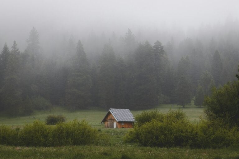 small cabin in the woods