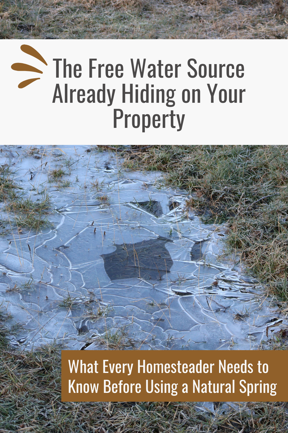 How to Find and Tap into a Natural Spring on Your Property: A Step-by ...
