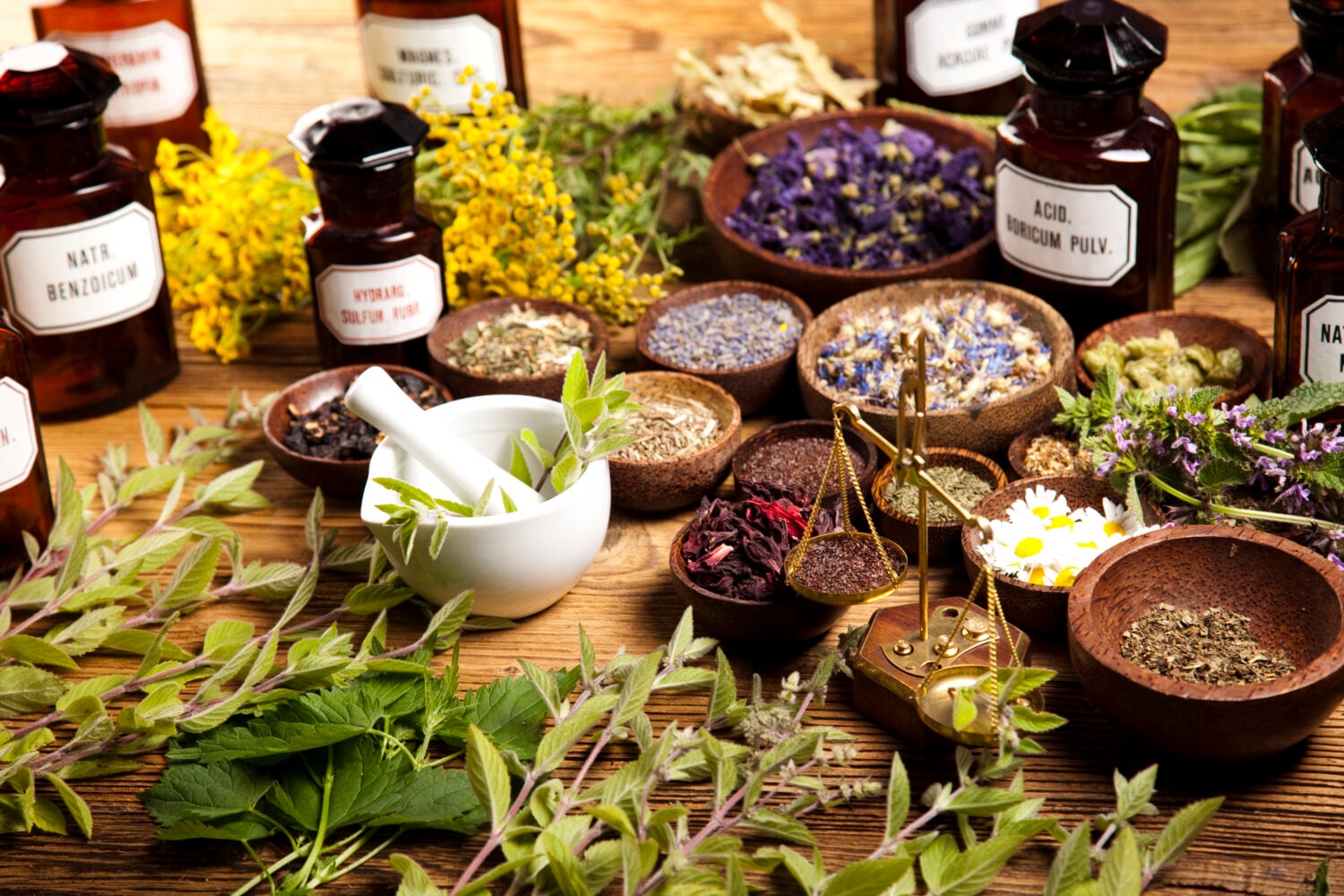 how-to-learn-the-art-of-herbalism-to-maintain-health-and-prevent