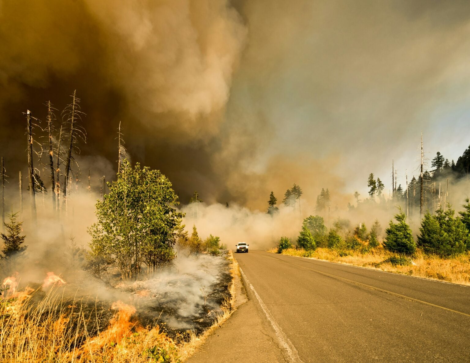 How to Survive a Wildfire in Your Vehicle: Essential Gear and Safety ...