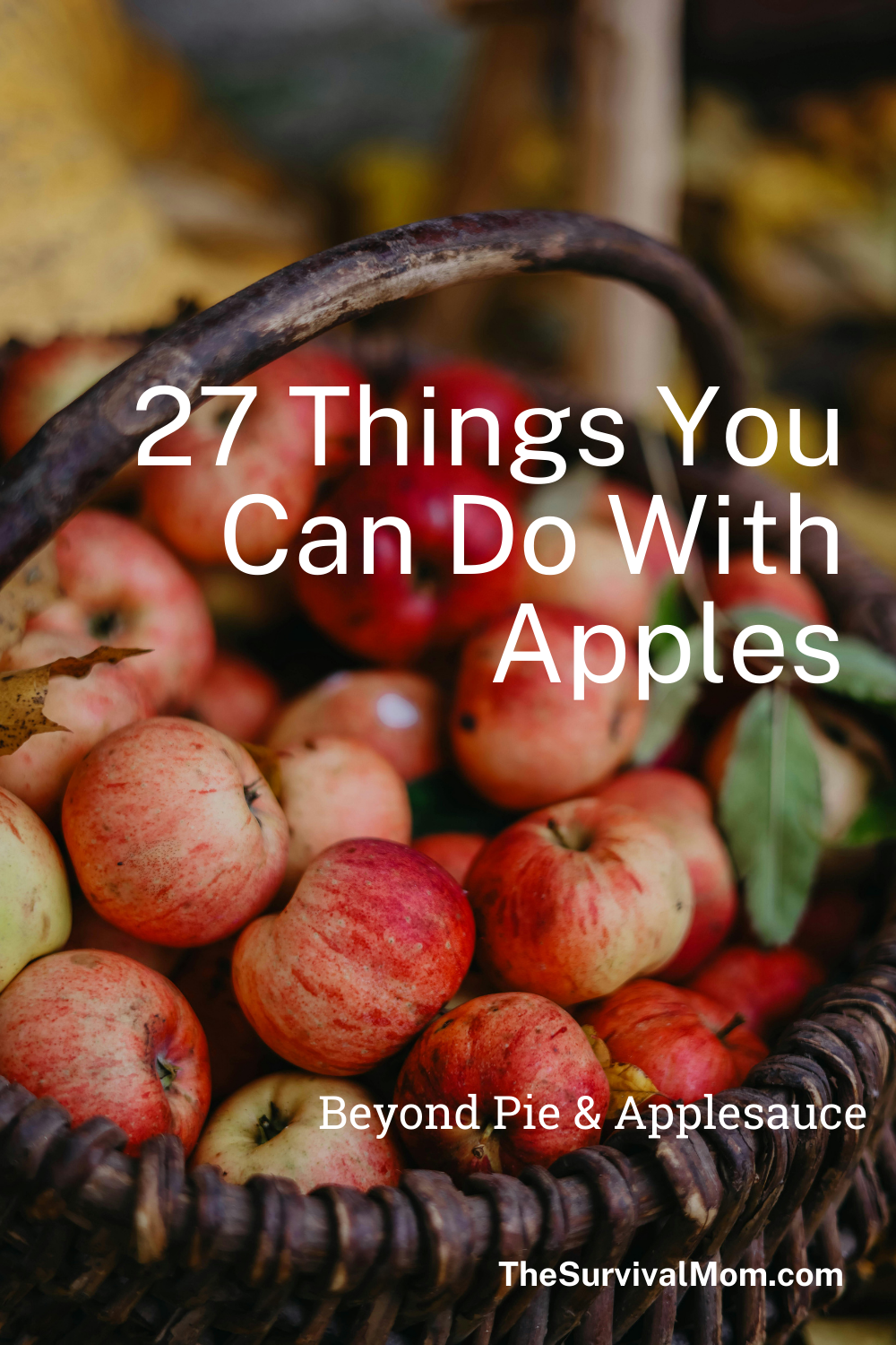 Things That Include Apple 27 Things You Can Do With Apples - The Survival Mom