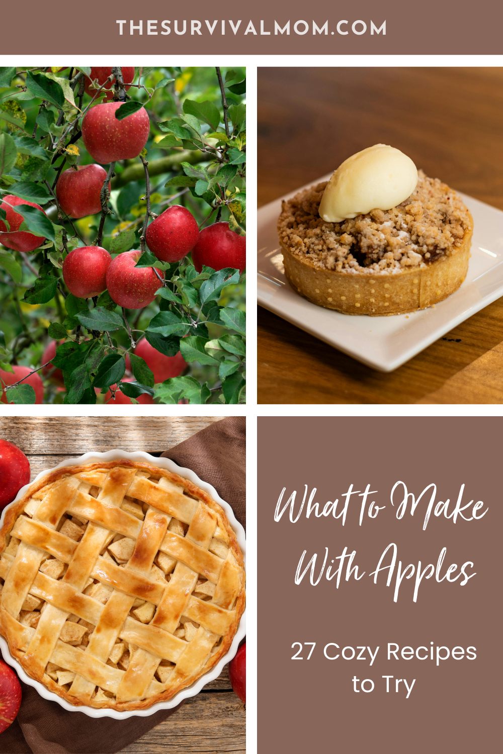 Things That Include Apple 27 Things You Can Do With Apples - The Survival Mom