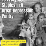 Flour. Beans. Lard. Cornmeal. Salt. These weren't fancy — they were strategic. See the full list and build your own modern version of the Depression-era pantry.